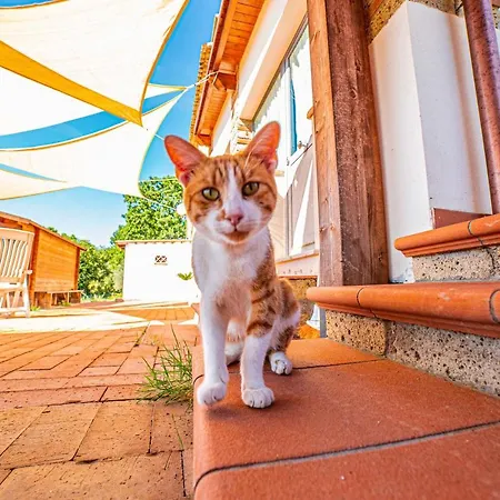 La Mantecata Bed & Breakfast