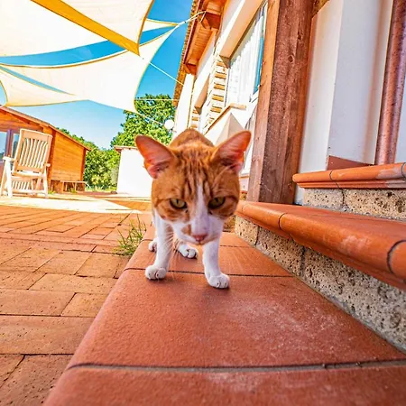 Bed & Breakfast La Mantecata